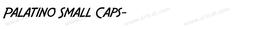 Palatino Small Caps字体转换